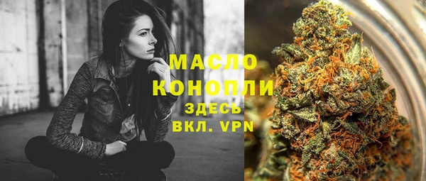 шишки Снежногорск