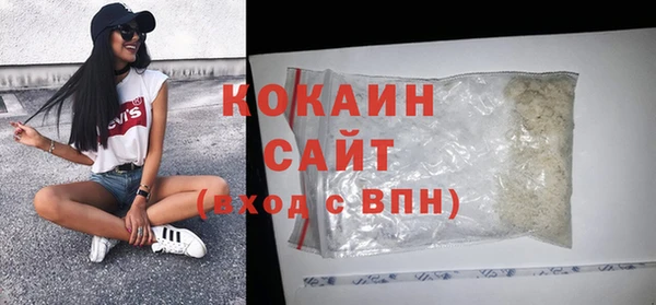 шишки Снежногорск