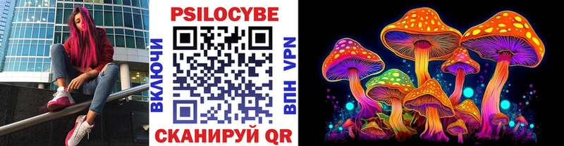 OMG   Верея  Псилоцибиновые грибы Psilocybe 